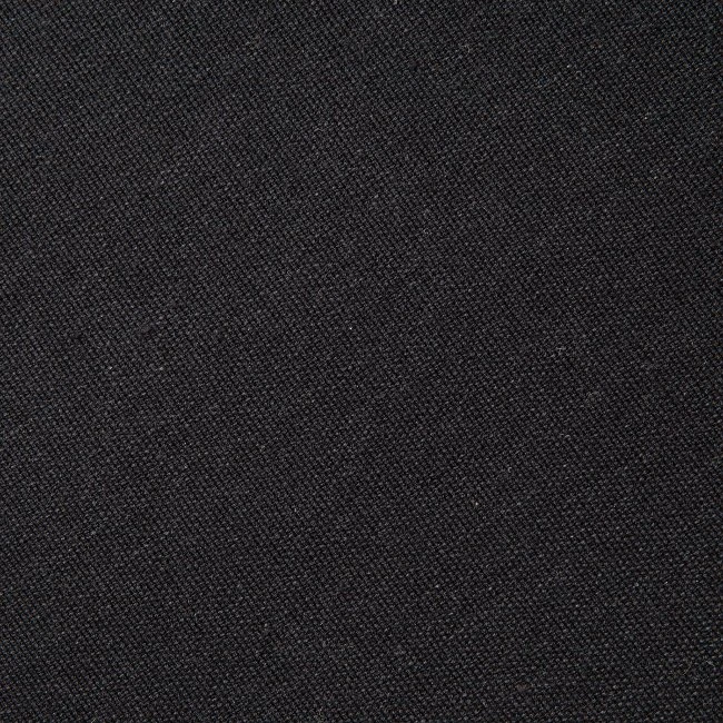 Bird Black - Image 4